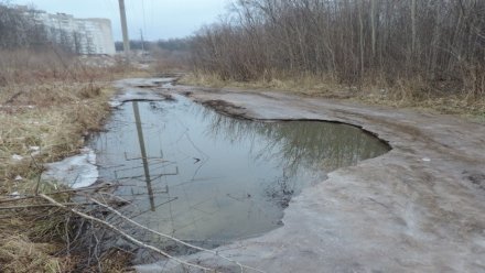 Экологи оценят ущерб от фекальной реки на Ломоносова в Воронеже