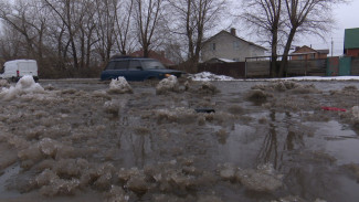 События недели: измучившие воронежцев капризы погоды и взлетевшие цены на огурцы