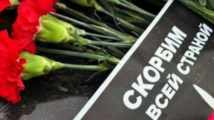 Экскурсии и мастер-классы отменили в Воронеже после объявления трёхдневного траура