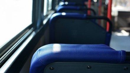 Воронеж попал в список самых популярных автобусных направлений