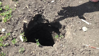 В воронежском селе на дороге появилась загадочная дыра