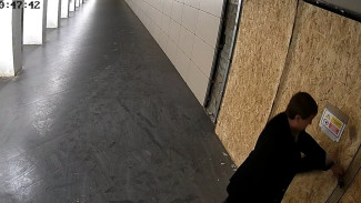 Полицейские вычислили вандала, разгромившего переход у мехзавода в Воронеже