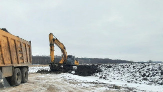 Воронежских экологов встревожила съехавшаяся к Усманке строительная техника