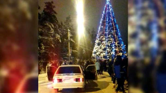 Воронежец внезапно устроил новогодний праздник в одном из крупнейших городских парков