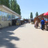 Продавцы продолжили торговлю на воронежском «Птичьем рынке» вопреки закрытию