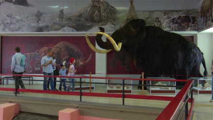 Воронежский музей-заповедник  «Костёнки» объявил о начале нового сезона