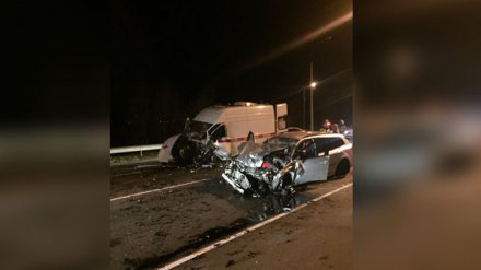В ДТП со скорой под Воронежем пострадали пять человек