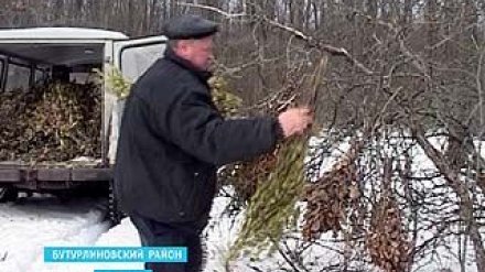 Бутурлиновские охотоведы решили подкормить животных в Шиповом лесу