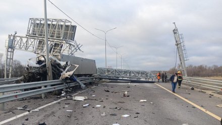 В ДТП на трассе М-4 «Дон» в Воронежской области погиб водитель грузовика