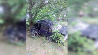 В Воронежской области в ДТП погиб уснувший за рулём водитель