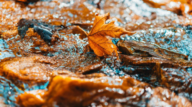 Воронежские синоптики спрогнозировали мокрый снег с дождём в выходные