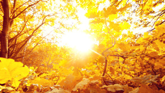 Синоптики дали прогноз на вторую неделю сентября в Воронеже