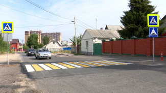 В Воронеже появилось 10 приподнятых пешеходных переходов