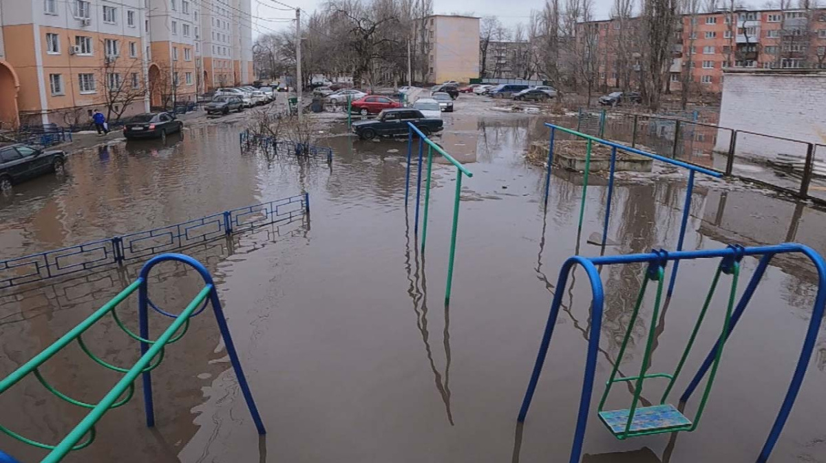 Царь-лужу на Левом берегу в Воронеже окрестили «Машметовским озером» –  Новости Воронежа и Воронежской области – Вести Воронеж