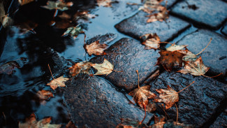 Прогноз погоды в Воронеже на 28.11.2025