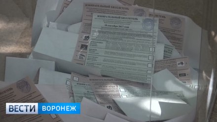 На местных выборах в Воронежской области победила «Единая Россия»