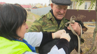В Воронеже начали проводить бесплатные выездные вакцинации домашних животных