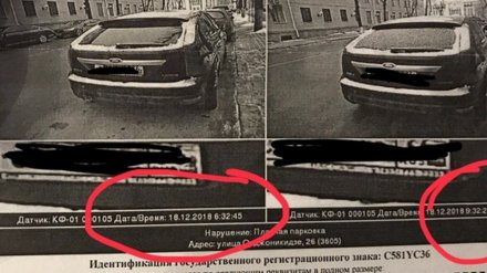 «ГИБДД ввели в заблуждение». Воронежцы оспорят в суде штрафы за неоплату парковки
