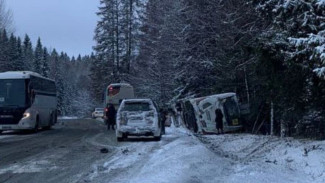 Туристы из Воронежа пострадали в ДТП с перевернувшимся автобусом в Карелии