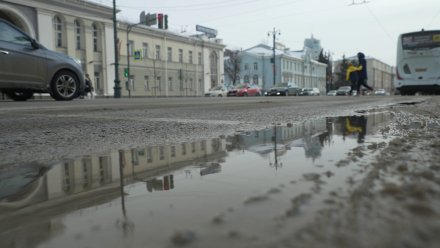 В Воронежской области объявили жёлтый уровень погодной опасности из-за ветра