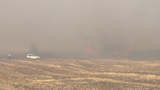 Лесной пожар в Воронежской области подобрался к заправке