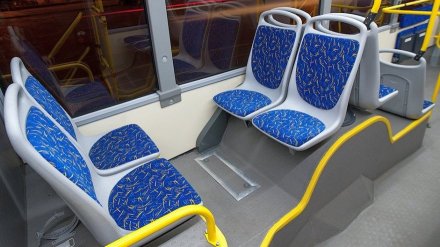 «Воронежпассажиртранс» прекратит работать с устроившими забастовку маршрутчиками