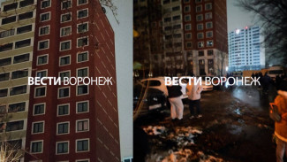 Посол МИД России прокомментировал атаку ВСУ на Воронеж