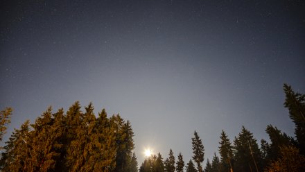 Беспилотники ВСУ приблизились к границам Воронежской области вечером 8 октября