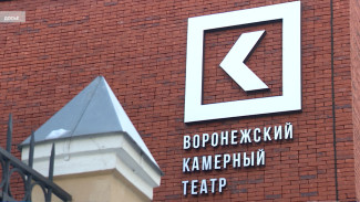 Воронежцы купили более 300 тыс. билетов по Пушкинской карте