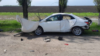 Два человека погибли из-за ДТП с деревьями на трассе Воронеж – Луганск