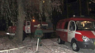 Двух воронежцев спасли при пожаре на шестом этаже