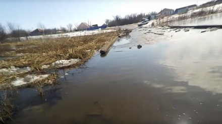 Число затопленных мостов в Воронежской области увеличилось
