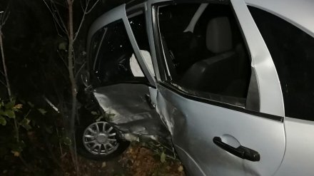 На трассе с самой длинной сплошной под Воронежем столкнулись две «Лады»