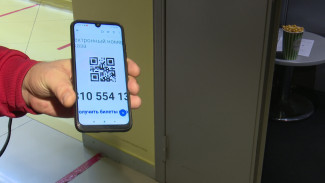 МВД назвало число уголовных дел о подделке QR-кодов в Воронежской области