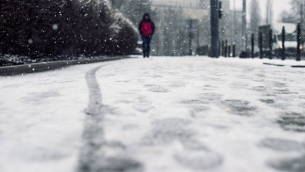 Воронежские синоптики спрогнозировали последний февральский снегопад