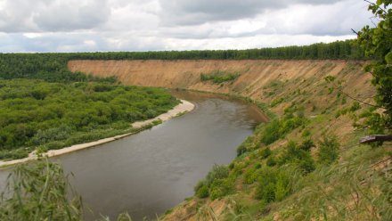 Эксперты проверят качество воды в реке Дон в Воронежской области