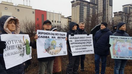Воронежцы вышли на митинг в защиту яблоневого сада