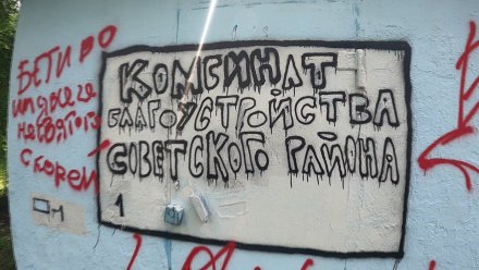 В Воронеже ставшую символом протестного стрит-арта будку отдадут художникам