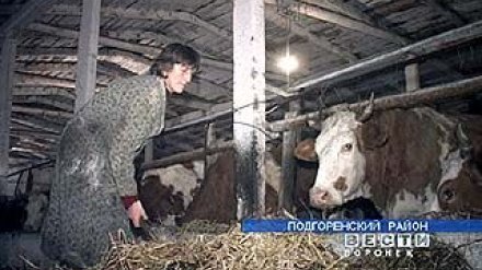 В Подгоренском районе не платят зарплату