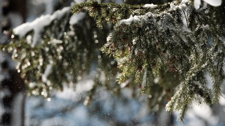 Синоптики пообещали снегопад в Воронеже