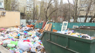 Огромная свалка образовалась рядом со зданием ЗАГСа в Воронеже