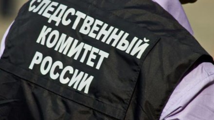 На теле девушки, погибшей в Острогожске, обнаружили повреждения