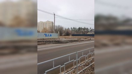 Воронежцы пожаловались на просевший асфальт на дороге к Северному лесу