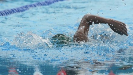 Глава региона поздравил воронежскую спортсменку с «золотом» на чемпионате Европы по плаванию
