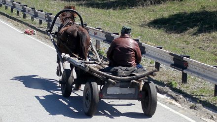 Под Воронежем «Нива» снесла повозку с лошадью: пострадали двое