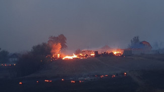 В воронежском селе лесной пожар уничтожил 25 домов: жителей эвакуировали