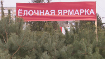 Ёлочные базары откроются в Воронеже 19 декабря