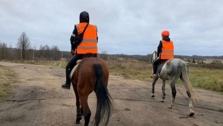 В Воронеже решили увеличить число конных отрядов для поиска пропавших людей