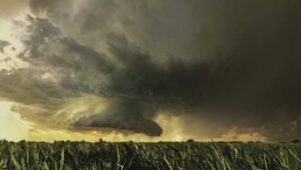 Грозы и кратковременные дожди спрогнозировали в Воронеже в выходные