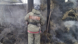 В Воронежской области при пожаре сгорело 15 тюков сена